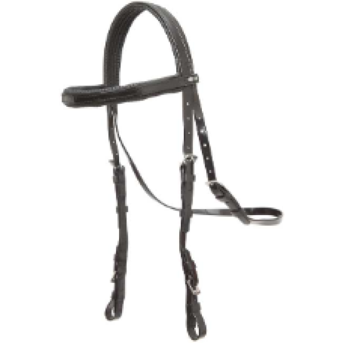 Bridle Hed Padded
