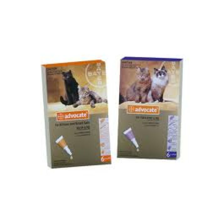 Advocate for Cats - Spot on treatment for fleas, heartworm, gastrointestinal worms, lungworms and ear mites in cats.