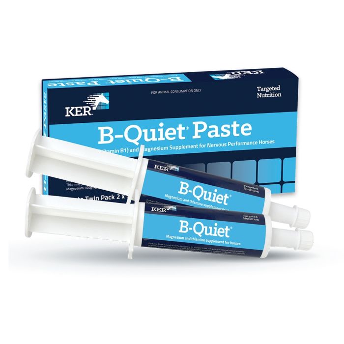 KER B-Quiet Paste 30g - Twin Pack