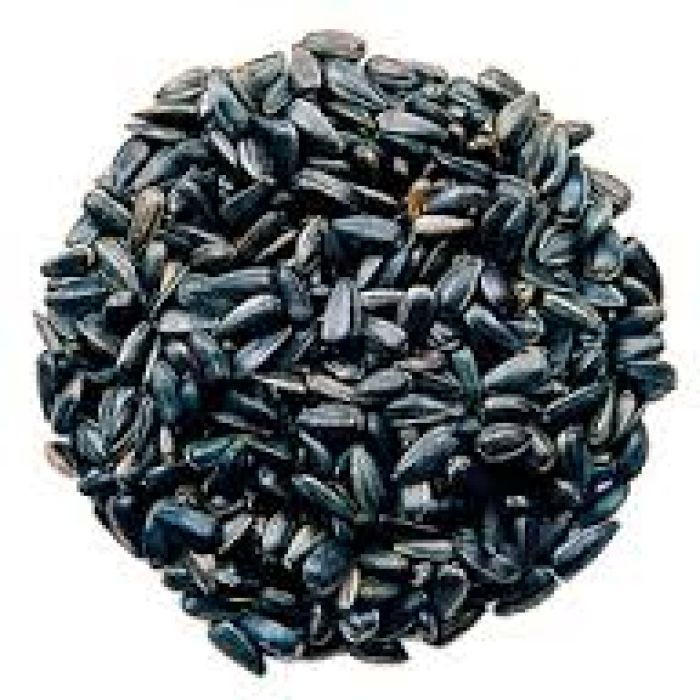 Black Sunflower Seeds - 25kg