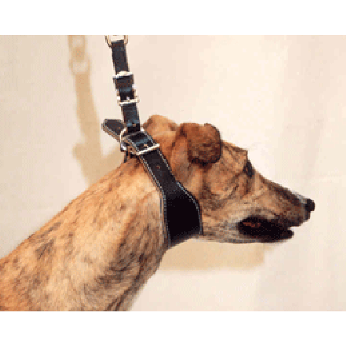 Greyhound Collar and Lead - Leather with Felt Lining