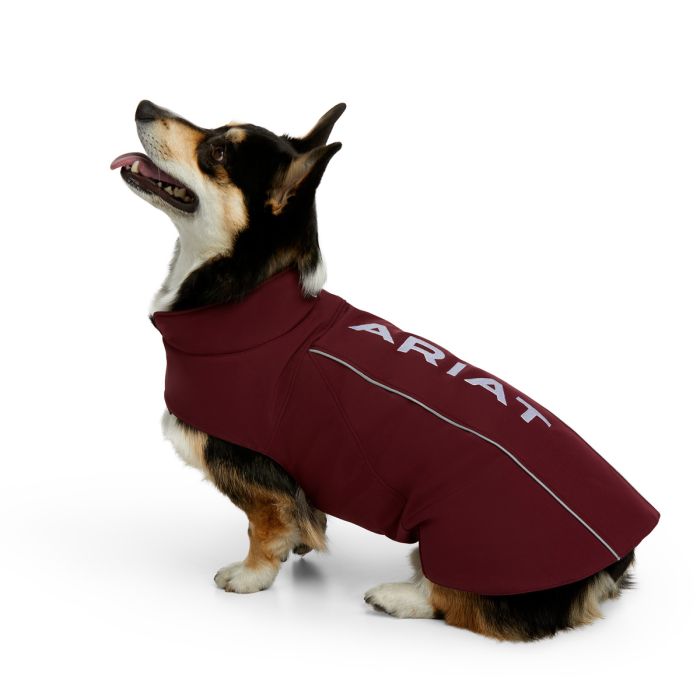 Team Softshell Dog Jacket - Windsor Wine