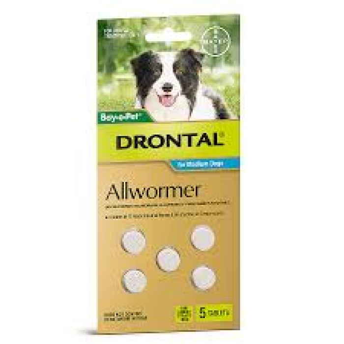 Intestinal Worming Medication For Dogs Drontal Tablets All Wormer