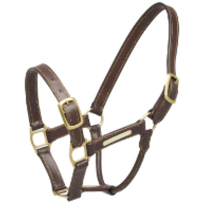 Aintree Leather Halter - Full Size