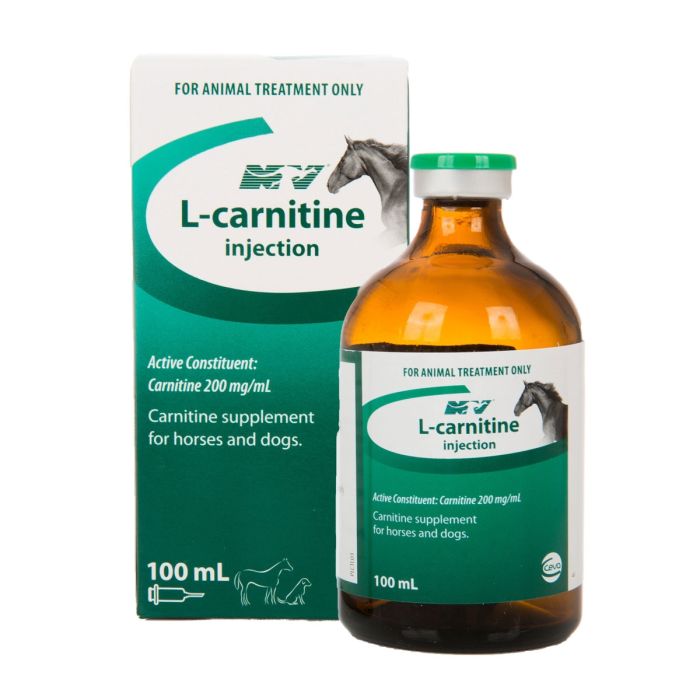 Ceva L-Carnitine Injection 100ml