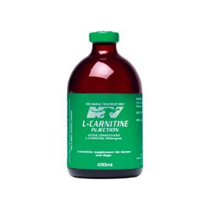 L-Carnitine amino acid supplement to enhance energy production for performance horses and dogs. 
