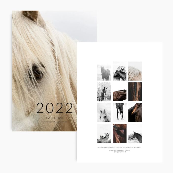 Megan Elizabeth Wall Calendar 2022