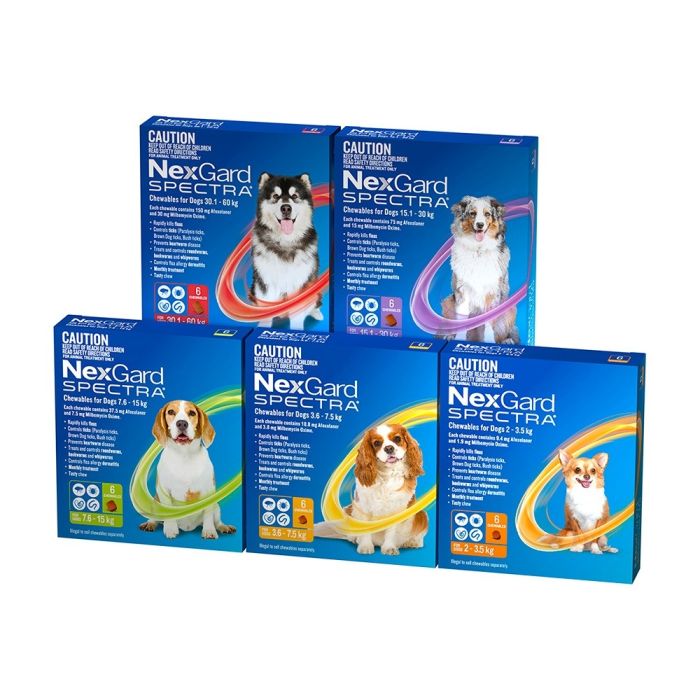 Nexgard Spectra 6 pack for Dogs