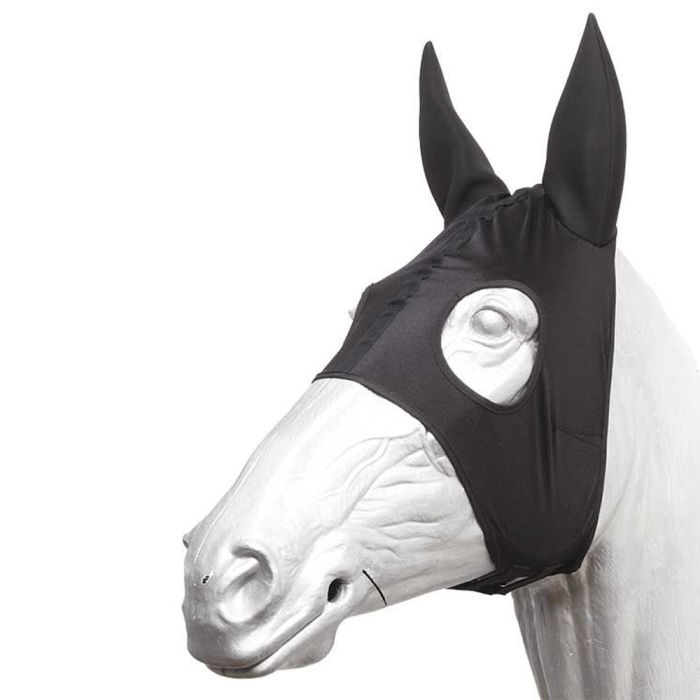 Horse racing hood