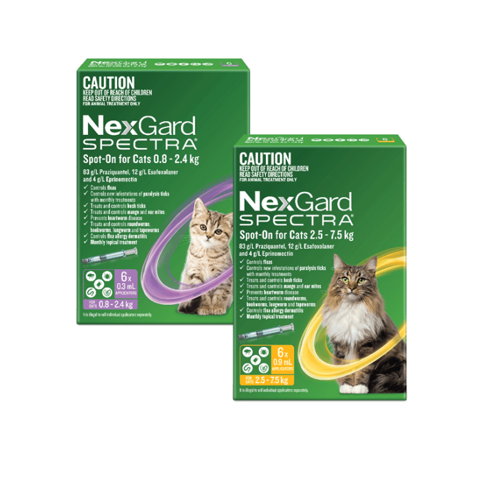 NexGard SPECTRA - Spot-On for Cats 6 pack - 0.8 - 2.4kg - useby 6/26