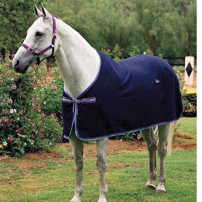Zilco Defender Wool Rug