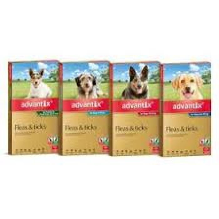 Advantix for Dogs 6 Pack