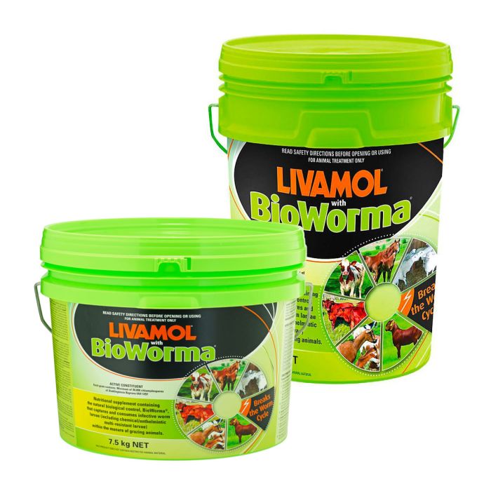 Livamol with BioWorma