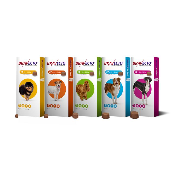 Bravecto - Flea and Tick Control for Dogs