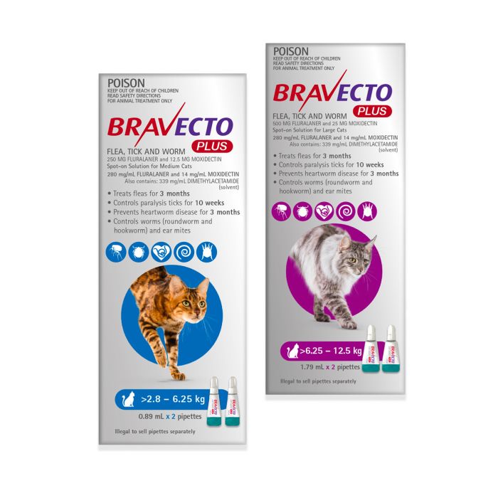 Bravecto PLUS Spot-on for Cats