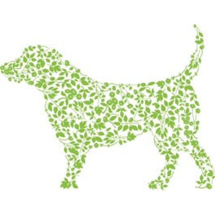 Brookby Herbs Canine Trave Ease