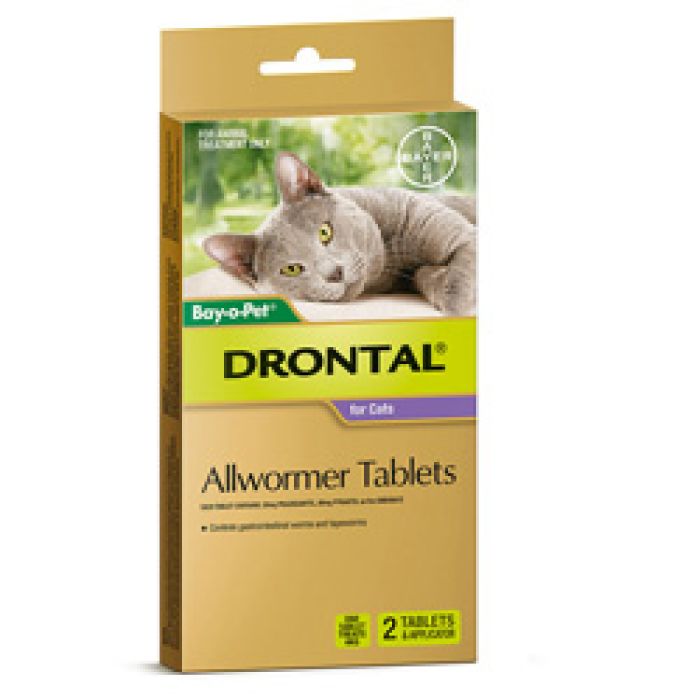 Drontal Tablets Cat 2 Pack with applicator