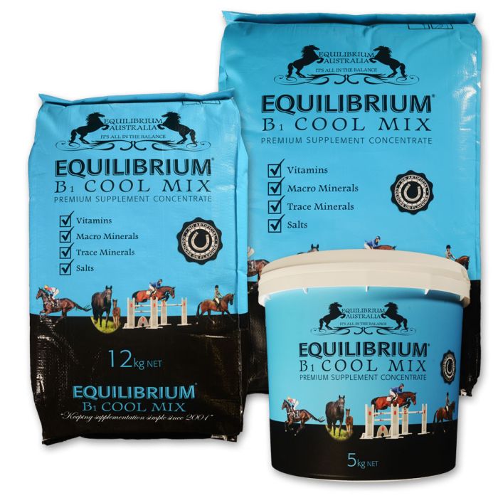 Equilibrium B1 Cool Mix - Blue