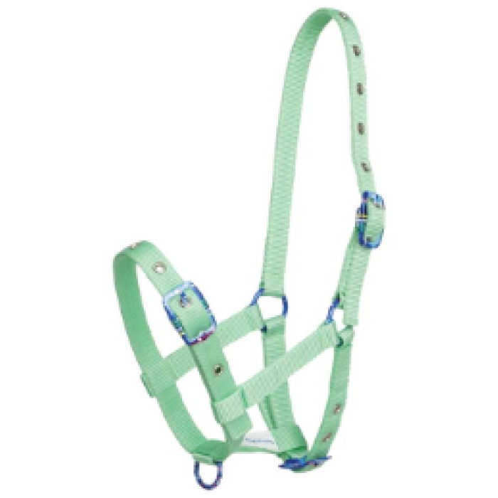 Foal Halter