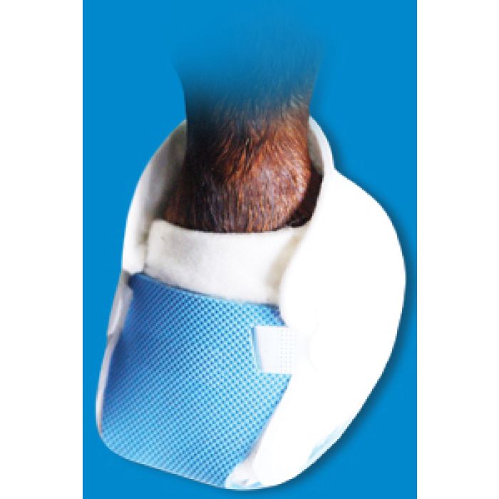 Decron Hoof Poultice Kit 