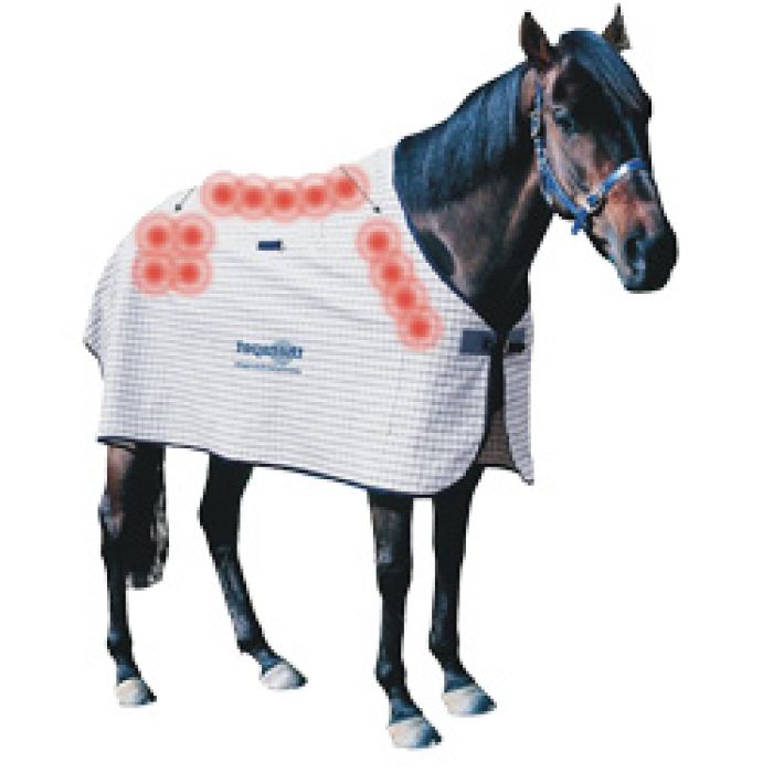 Magnetic horse rug
