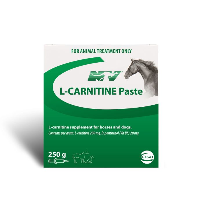 horse l carnitine L CARNITINE INJ 100ML