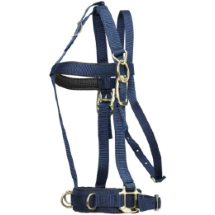 Delux Lunging Halter - Cob / Full
