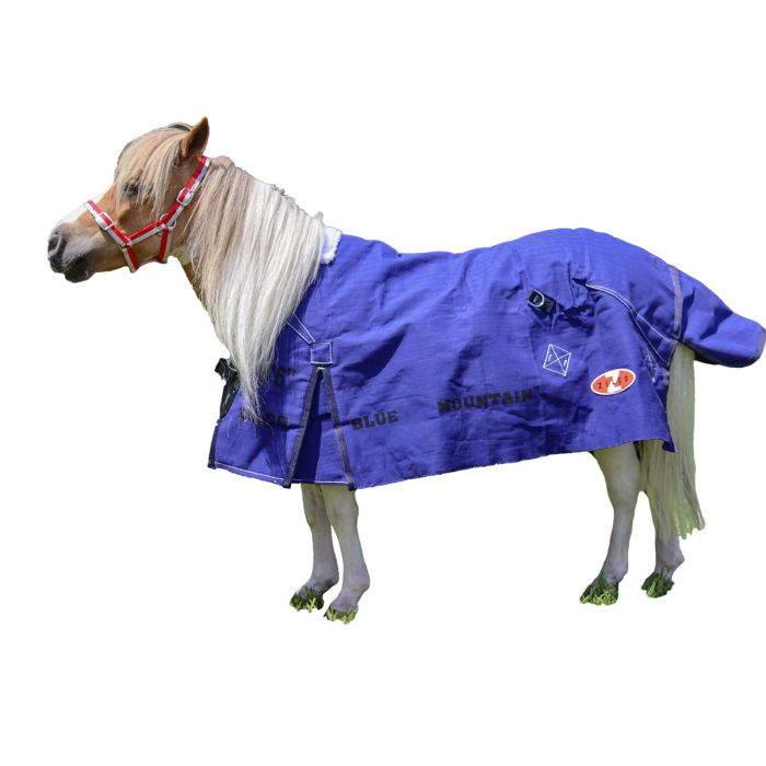 Mini Mountain Canvas Rug