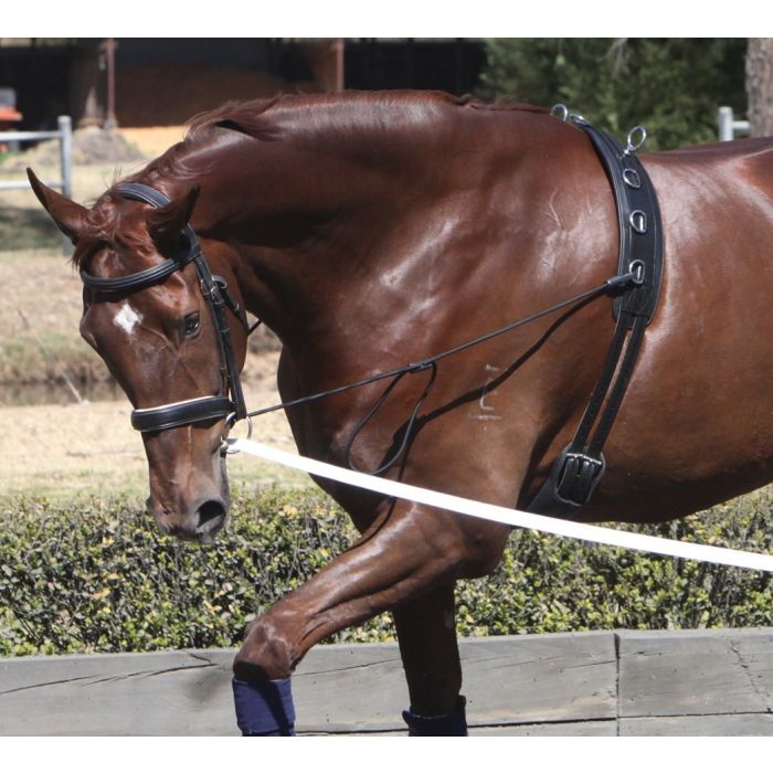 Elastic Neck Stretcher