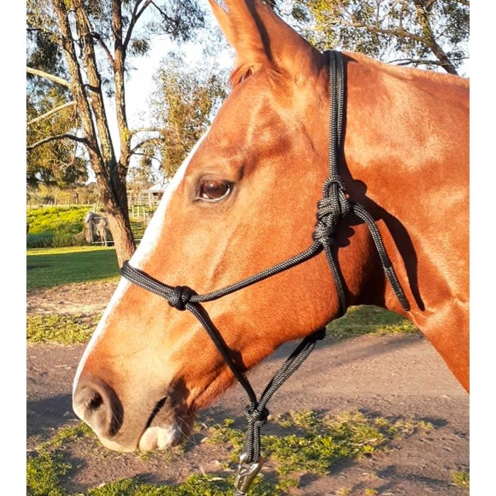 Nungar Knots 8mm Rope Halter