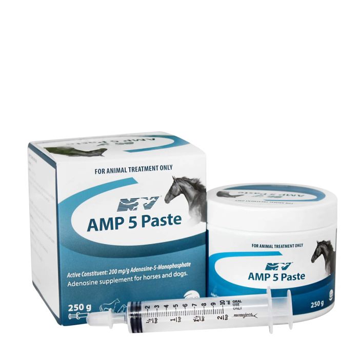 AMP-5 Paste 250ml - Expiry date 12/26