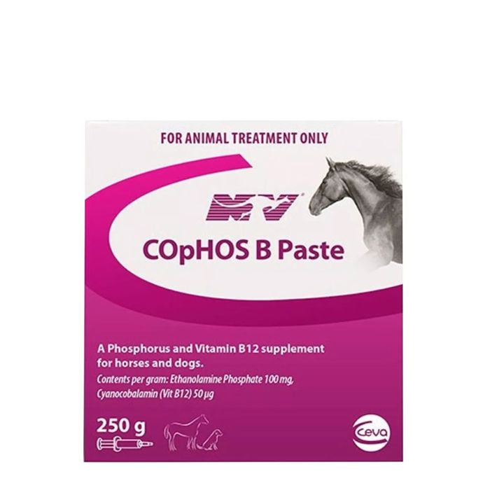 Naturevet CophosB - Phosphorus and Vit B12 supplement to buffer lactic acid and promote muscle function