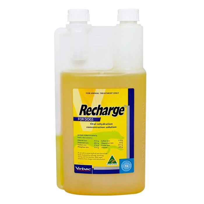 Recharge for Greyhounds