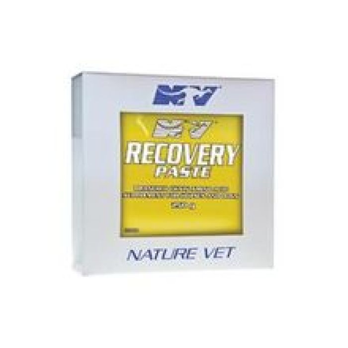 Ceva Recovery Paste 250Ml