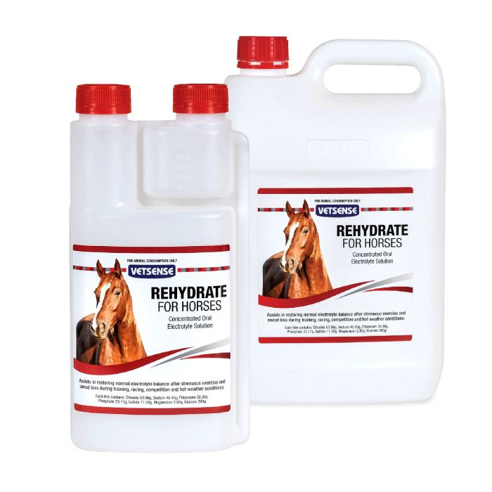 Rehydrate for Horses - Vetsense