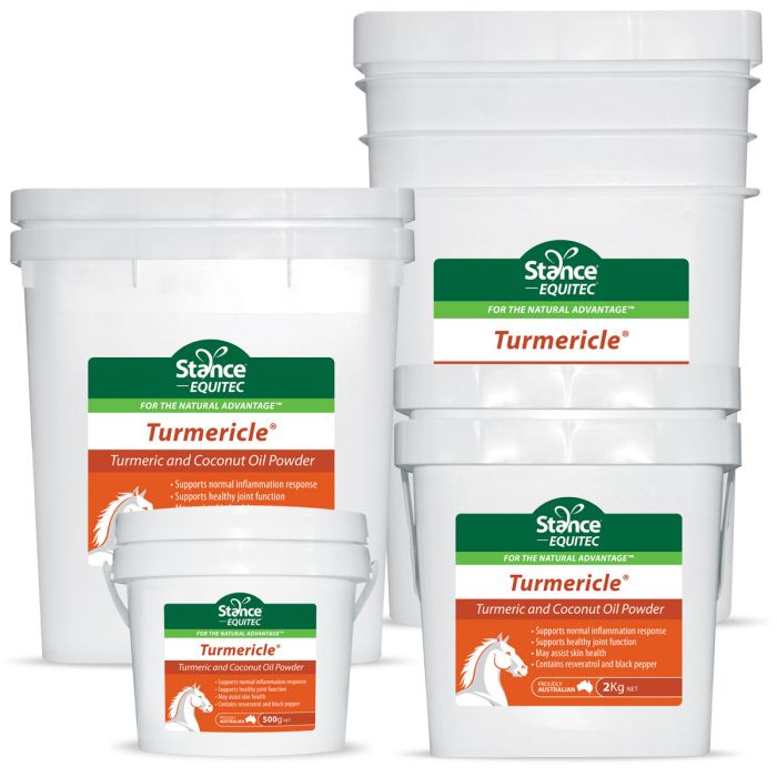 Equitec Turmericle Powder