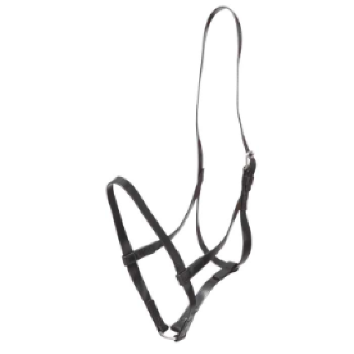 Tack - Driving - Underhalter
